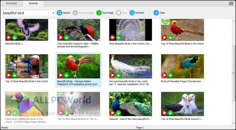 Any Video Downloader官網版