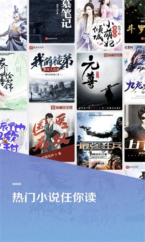 百度小說去廣告去升級(jí)破解版 第1張圖片