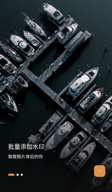 徠卡水印大師APP專業版