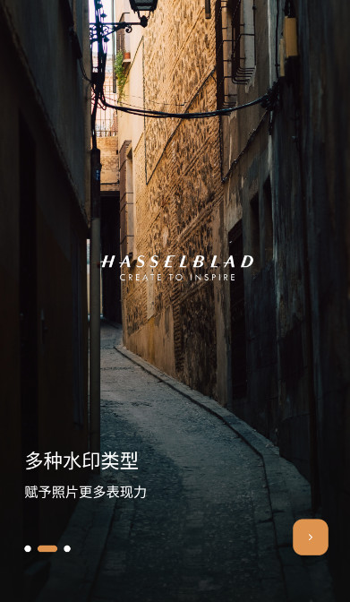 徠卡水印大師APP專業版