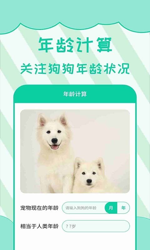 人狗翻譯升級版