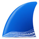 Wireshark專業版