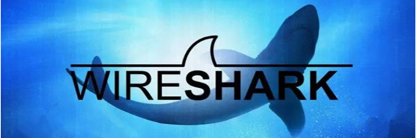 Wireshark專業版