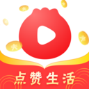 蔥花視頻專業版