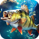 歡樂(lè)釣魚(yú)大師手游最新版