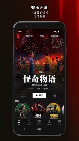 Netflix專業版