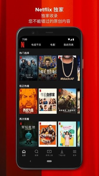 Netflix專業版