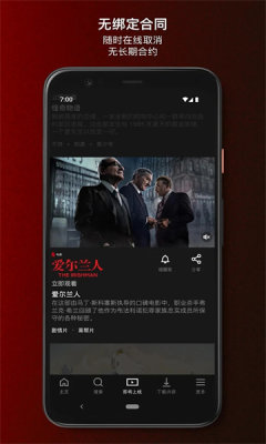 Netflix專業版