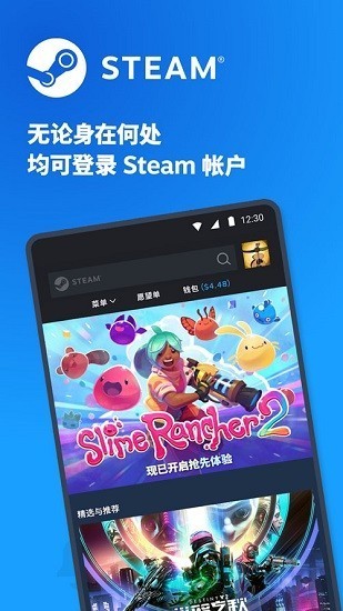 steam優化版