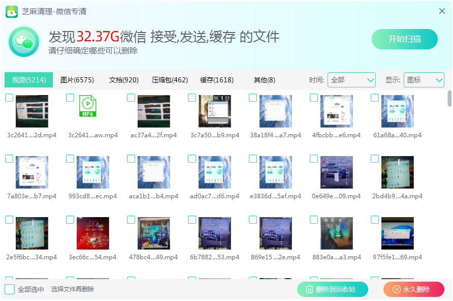 芝麻清理專業版