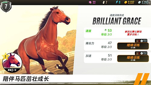 家族傳奇馬匹養成競技安卓版