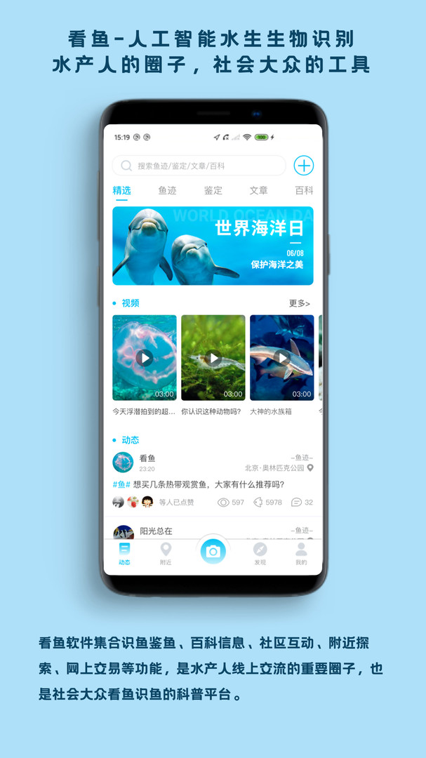 看魚(yú)正式版