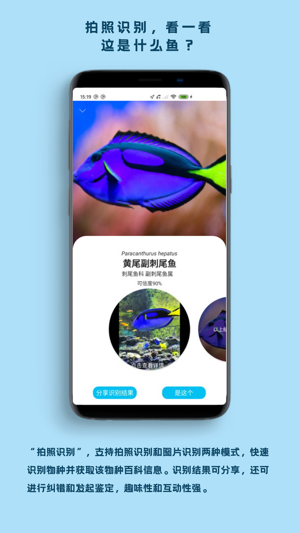 看魚(yú)正式版