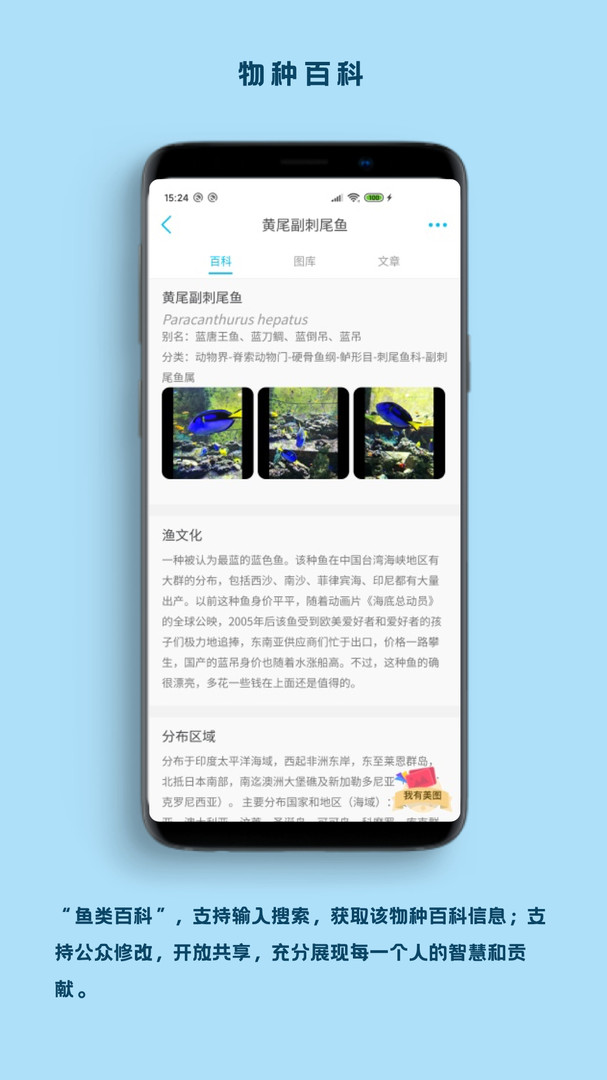 看魚(yú)正式版