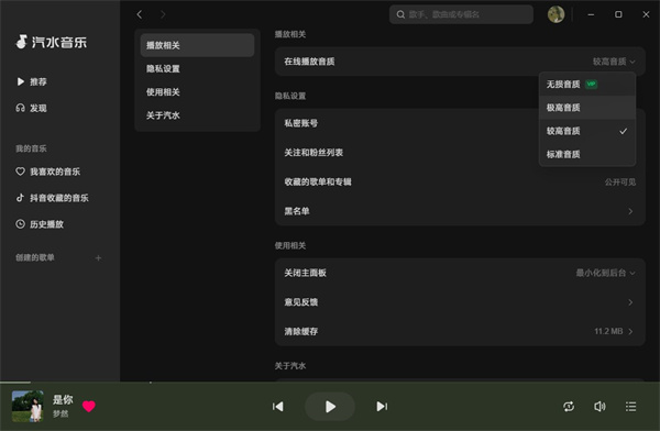 汽水音樂優化版