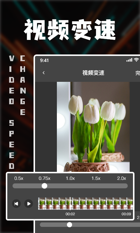 中視頻剪輯專業版