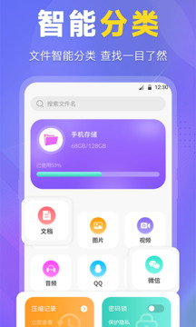 DS文件管理器標準版