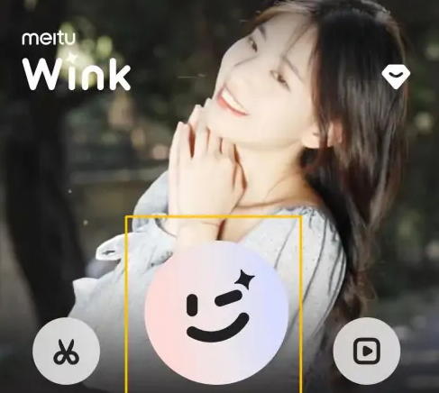 Meitu Wink app專業版