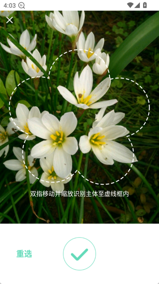 形色官方版(拍照識(shí)花)