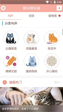 貓叫模擬器安卓版