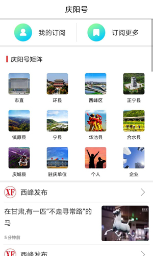 掌中慶陽新聞手機客戶端