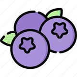 藍莓音樂安卓版