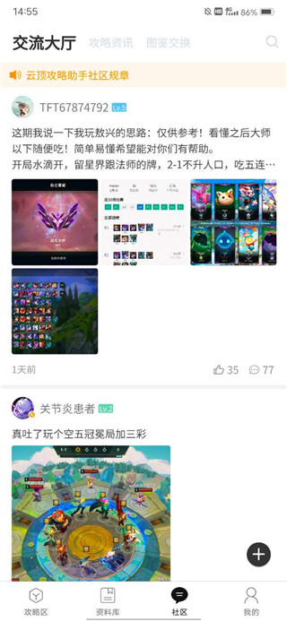 云頂之弈助手綠色版