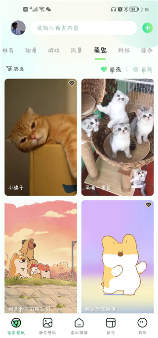 飛火動態(tài)壁紙app官方版