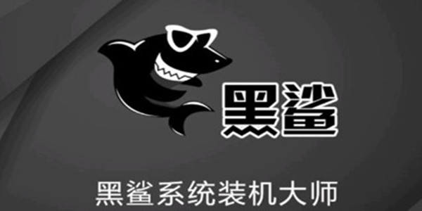 黑鯊裝機大師官方正版(附教程)