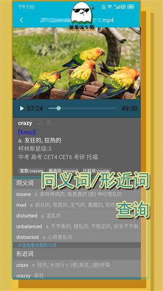 單詞播放器軟件