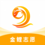 金鯉志愿升級版