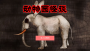 動物園怪談中文版