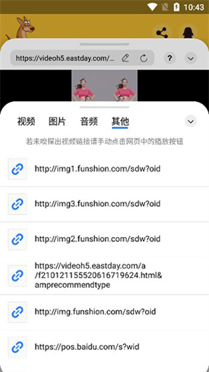 袋鼠下載