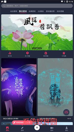 羞兔動態(tài)壁紙