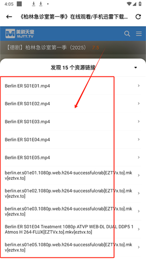 磁力貓