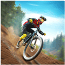 越野自行車(chē)特技2(Bicycle Stunts 2)