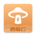 蘑菇云手機