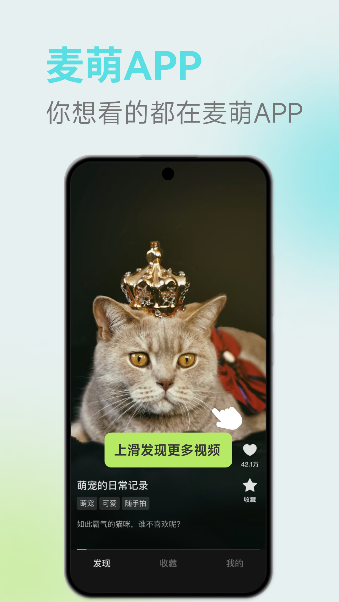 麥萌短劇
