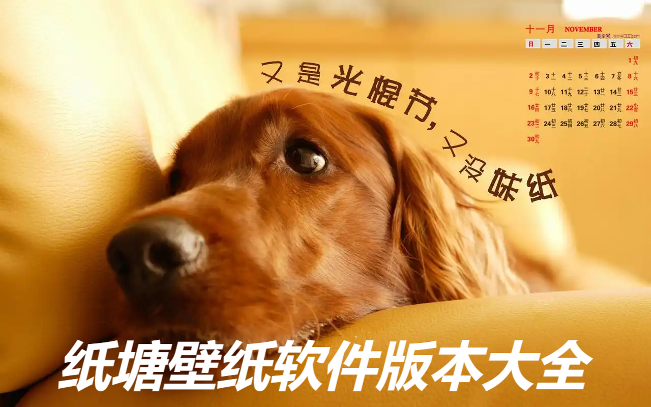 紙塘壁紙全部版本合集-紙塘壁紙版本大全-紙塘壁紙免費版/專業版/安卓版