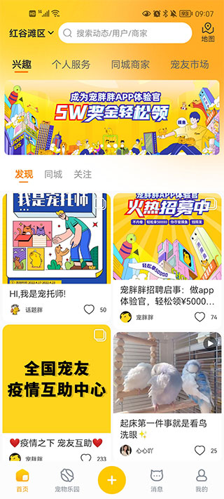 寵胖胖